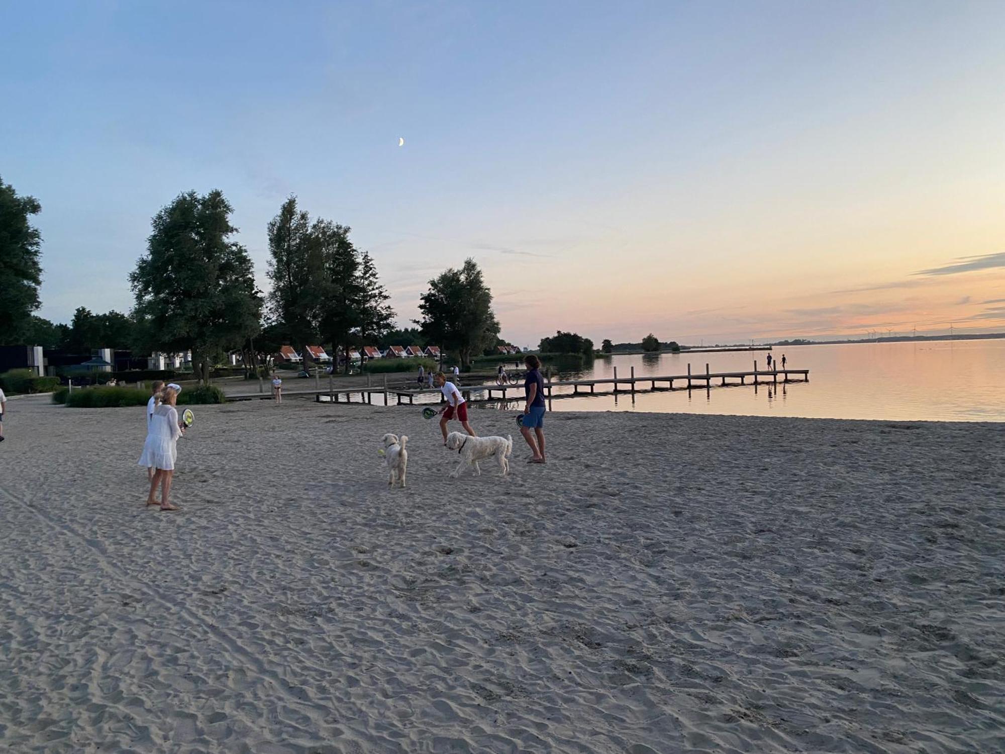 Green Villa: Beachfront Resort with Sea View Terrace and Pet-Friendly Garden Hulshorst Exterior photo